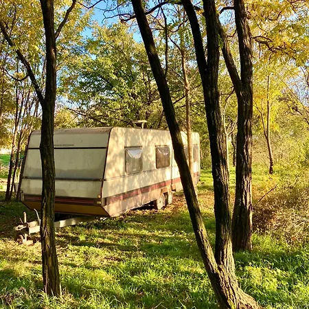 캠프장 Hacienda Caravan